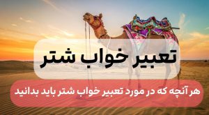 تعبیر خواب شتر و شتر سواری و شتر در خانه و شتر وحشی بزرگ و شتر مرده