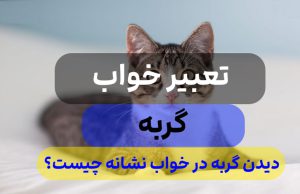 ?تعبیر خواب گربه دیدن , انواع تعبیر برای دیدن گربه در خواب?