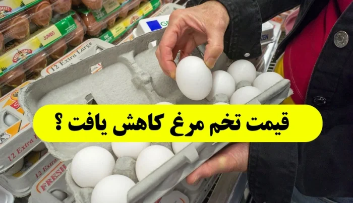 خبر کاهش قیمت تخم مرغ در بازار ؟! قیمت هر کیلوگرم تخم مرغ چند ؟