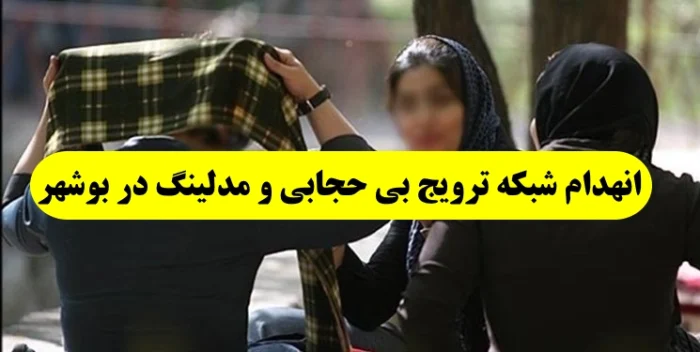 شبکه اینترنتی مدلینگ مبتذل و ترویج دهنده بی حجابی در بوشهر منهدم شد