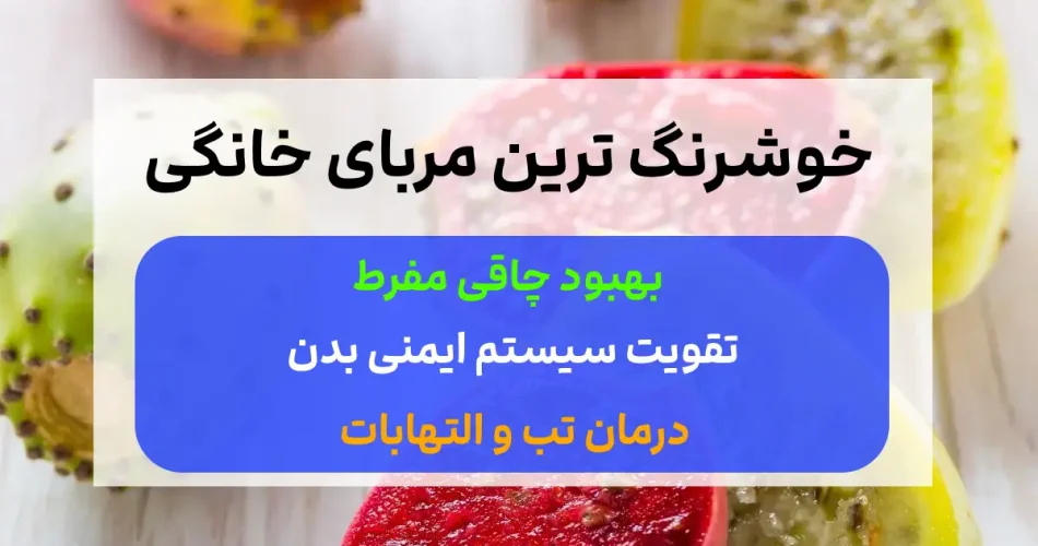 کاکتوس صبحانه ای متفاوت و خاص