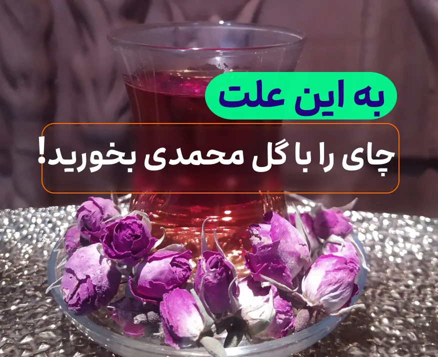 تاثیر گل محمدی در چای
