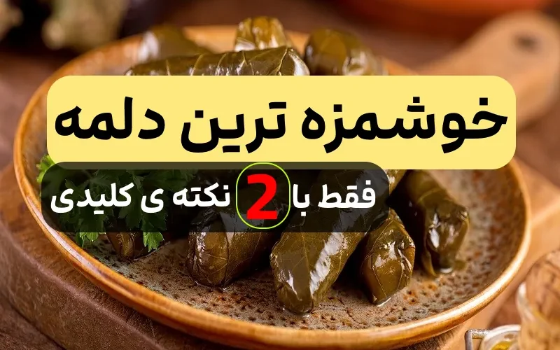 2 ترفند ساده برای خوشمزه تر شدن دلمه 1