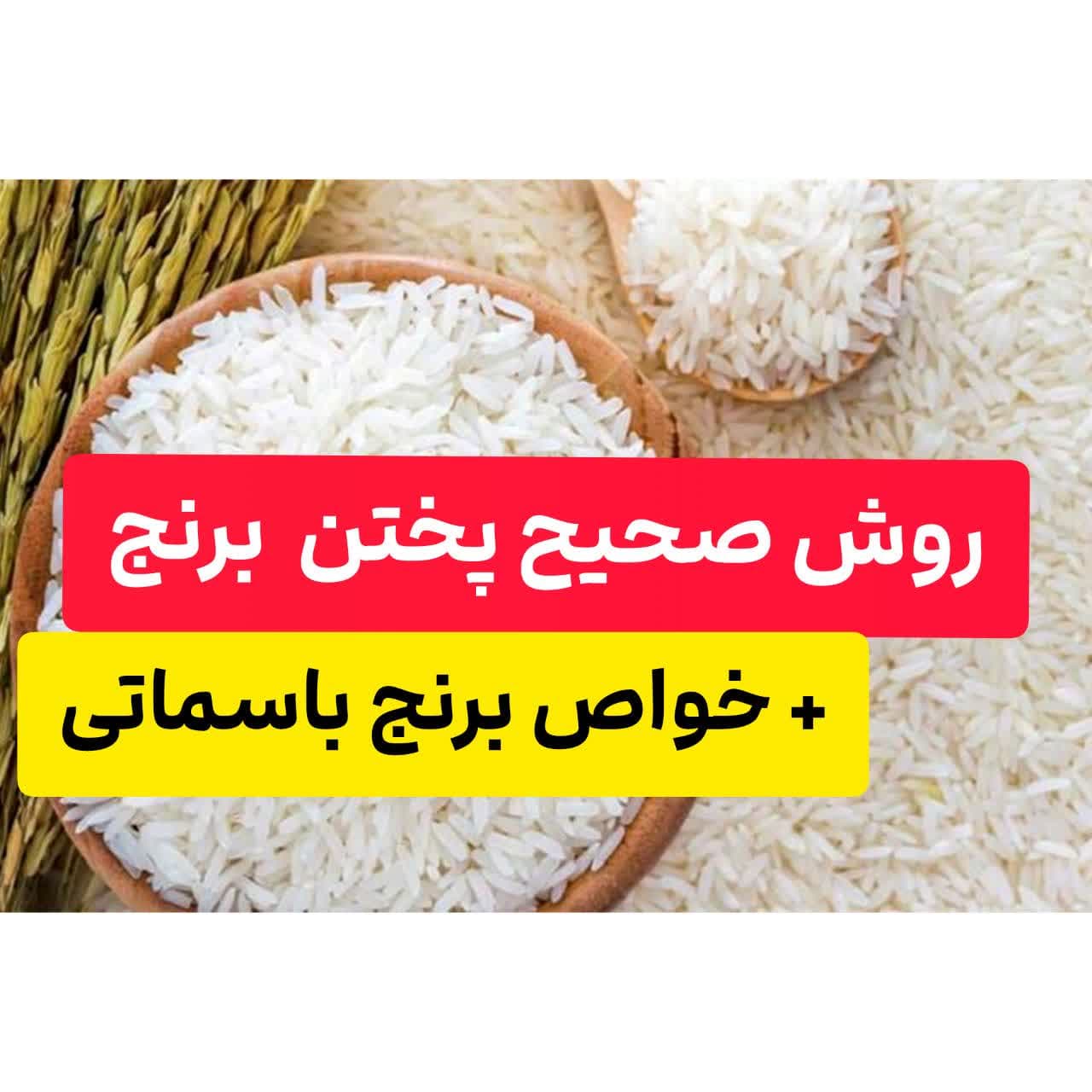 ? برنج باسماتی مشخصات این برنج را بخوانید