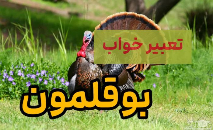 تعبیر خواب بوقلمون تعبیر خواب بوقلمون