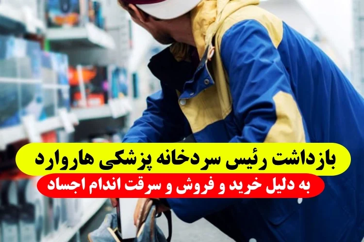 رئیس سردخانه دانشکده پزشکی هاروارد به اتهام خرید و فروش و سرقت اندام اجساد بازداشت شد