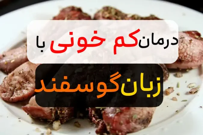 8 خاصیت زبان گوسفند