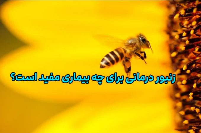 زنبور درمانی برای چه بیماری هایی مفید است؟ زنبور درمانی برای چه بیماری هایی مفید است؟