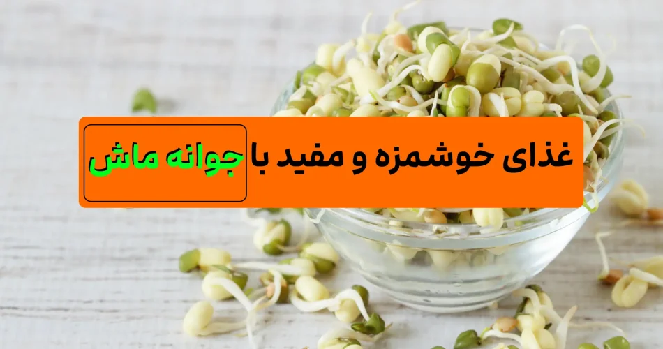 جوانه ماش ضد سرطان پروتئین گیاهی
