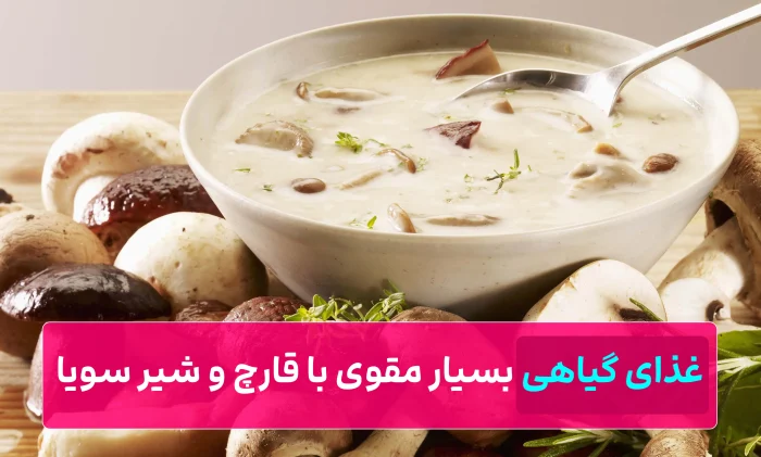 غذای گیاهی بسیار مقوی با قارچ و شیر سویا