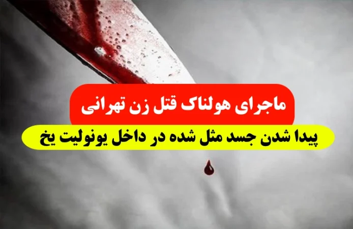 ماجرای هولناک قتل زن تهرانی و پیدا شدن جسد مثله شده او در یونولیت یخ 2