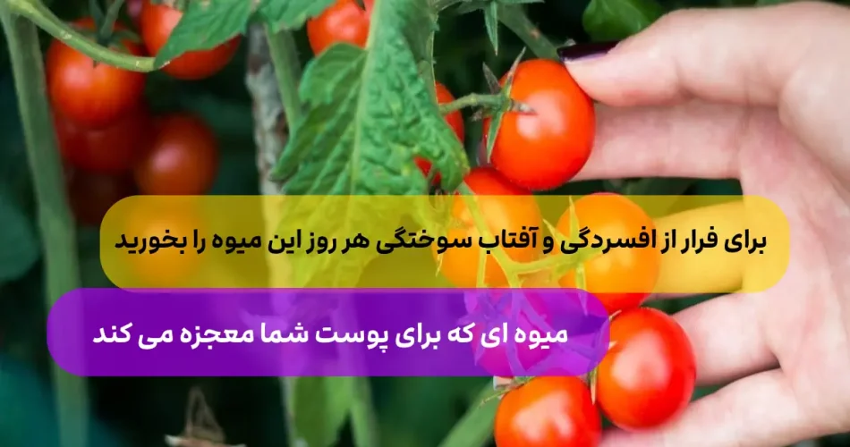 روزانه این میوه باعث کاهش آفتاب سو 2