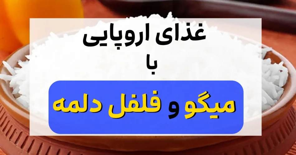 خوشمزه به روش اروپایی