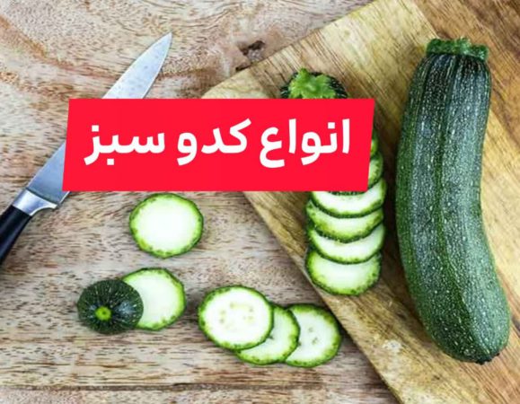 انواع کدو سبز انواع کدو سبز