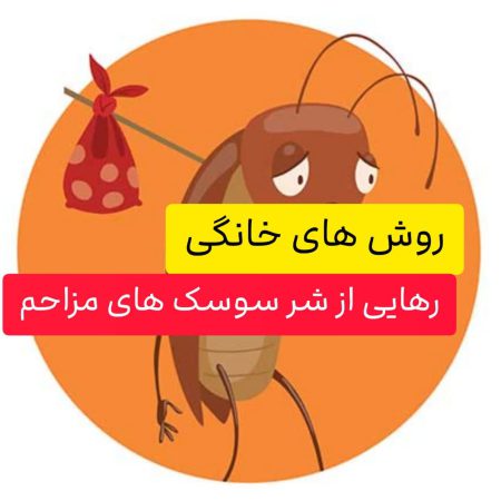 ?سوسک رو از خونه ات بیرون کن/ ۱۰ روش برای از بین بردن سوسک منزل? 2 رهایی از شر سوسک های مزاحم
