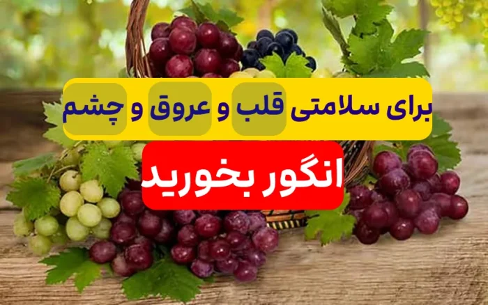 میوه ی خوشمزه ای که به آن اکسیر جوانی میگویند?