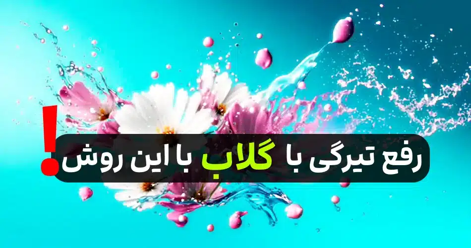 خانم ها بخوانند! معجزه ای برای بانوان؛ تاثیرات گلاب برای رفع تیرگی در زنان