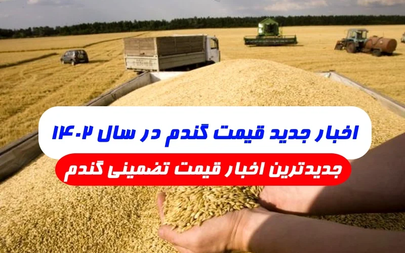 اخبار جدید قیمت گندم ۱۴۰۲,جدیدترین اخبار قیمت تضمینی گندم از خبر فارسی