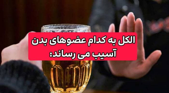 مسیر الکل در بدن چگونه است؟! ضررهای الکل برای هر عضو بدن 2 الکل به کدام عضو بدن آسیب میرساند