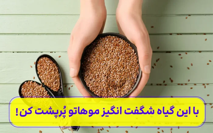 با این گیاه شگفت انگیز موهاتو پُرپشت کن!