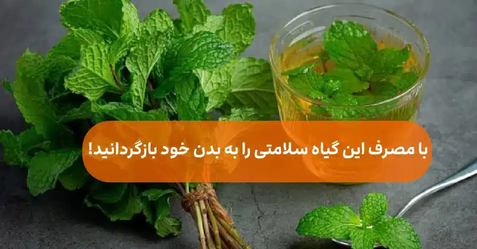 مصرف این گیاه از شر معده درد راحت شوی