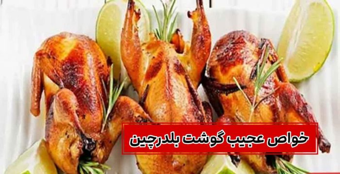 خواص عجیب گوشت بلدرچین