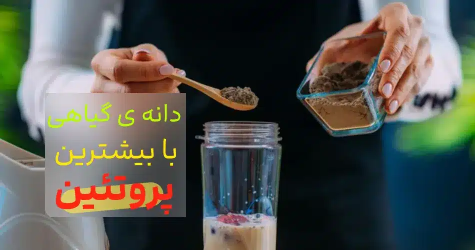 بهترین پروتئین گیاهی؛ جایگزین گوشت برای گیاهخواران?