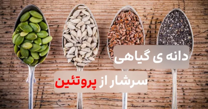 بهترین پروتئین گیاهی؛ جایگزین گوشت برای گیاهخواران