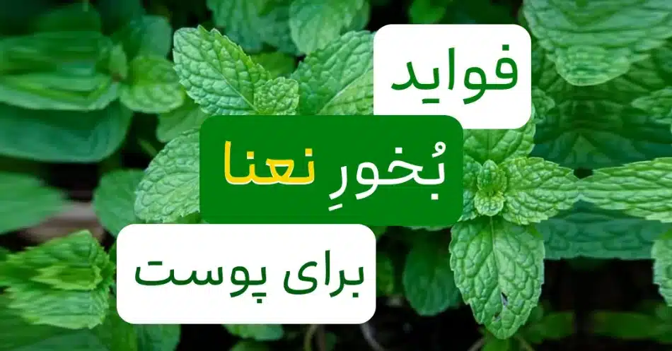 فواید بخور نعناع برای پوست! از شفافیت پوست گرفته تا از بین رفتن جوش