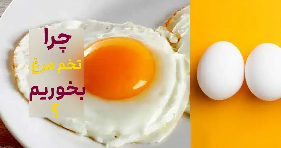 تخم مرغ با بدن چه میکند؛ 14 اثر تخم مرغ در بدن?