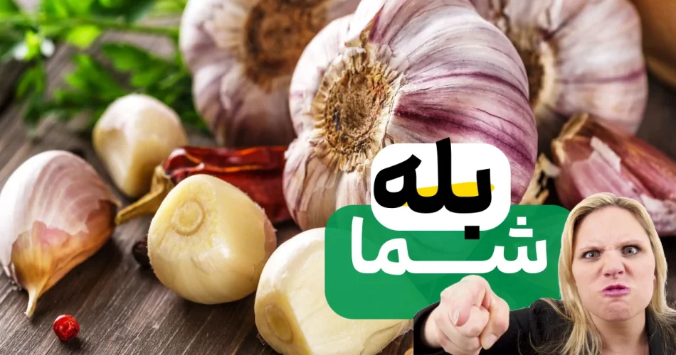 سیر