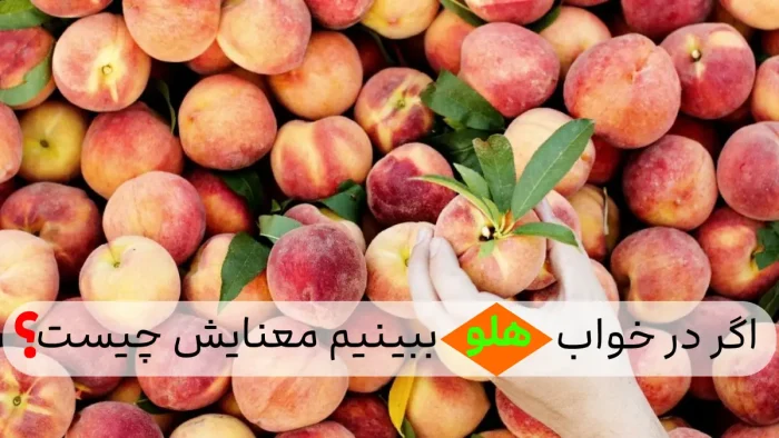 دیدن هلو در خواب تعبیرش چه می شود؟ دیدن هلو در خواب تعبیرش چه می شود؟