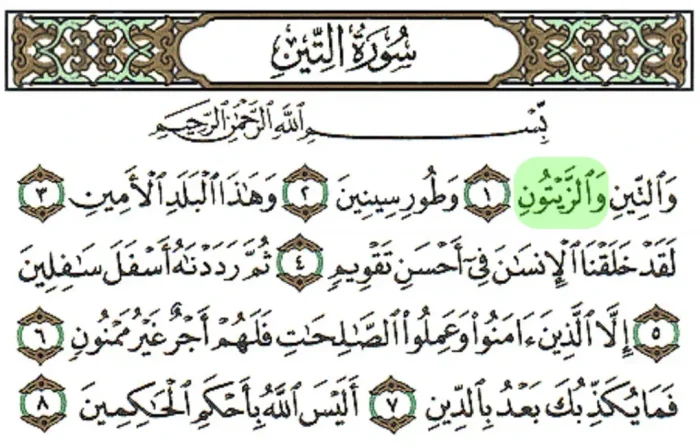 زیتون در قرآن