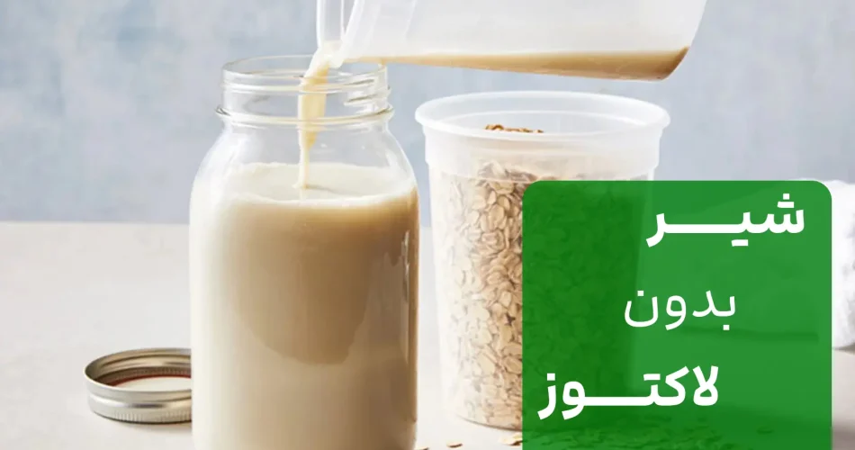 خوشمزه مخصوص افراد حساس به لاکتوز 1