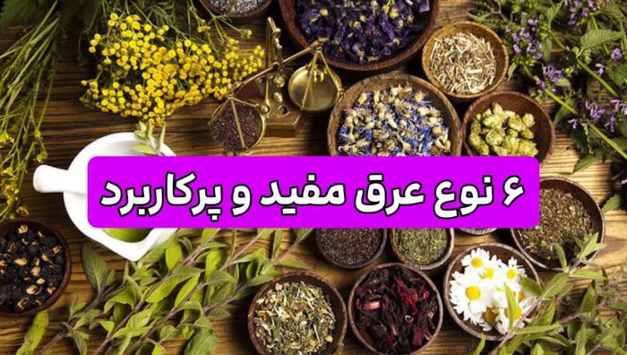 ۶ عرق بشدت مفید برای بدن | از خوردن این عرقیات گیاهی غافل نشوید! 2 6نوع عرق مفید و پرکاربرد