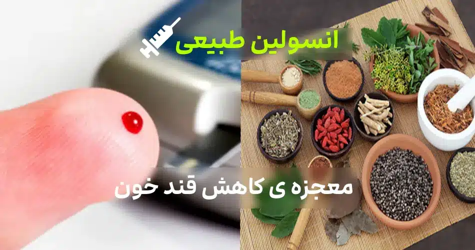 ترین انسولین طبیعی و گیاهی