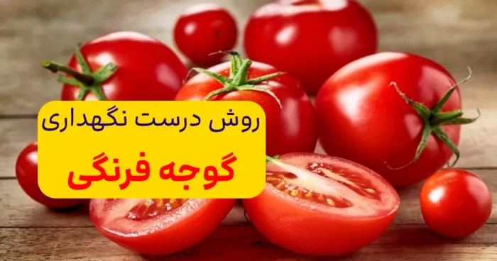گوجه فرنگی هم قهر میکند هم سرما میخورد؛ خصلت های عجیب گوجه فرنگی گوجه فرنگی هم قهر میکند هم سرما میخورد؛ خصلت های عجیب گوجه فرنگی