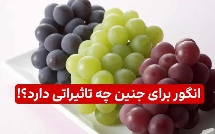 انگور برای جنین چه تاثیراتی دارد؟