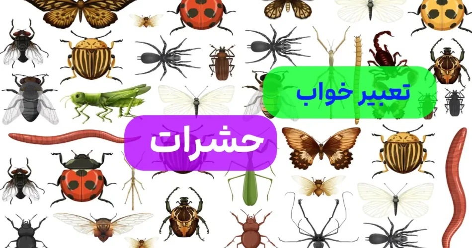 تعبیر خواب حشرات