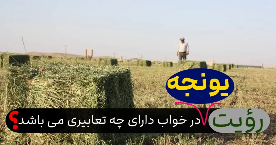 تعبیر خواب یونجه