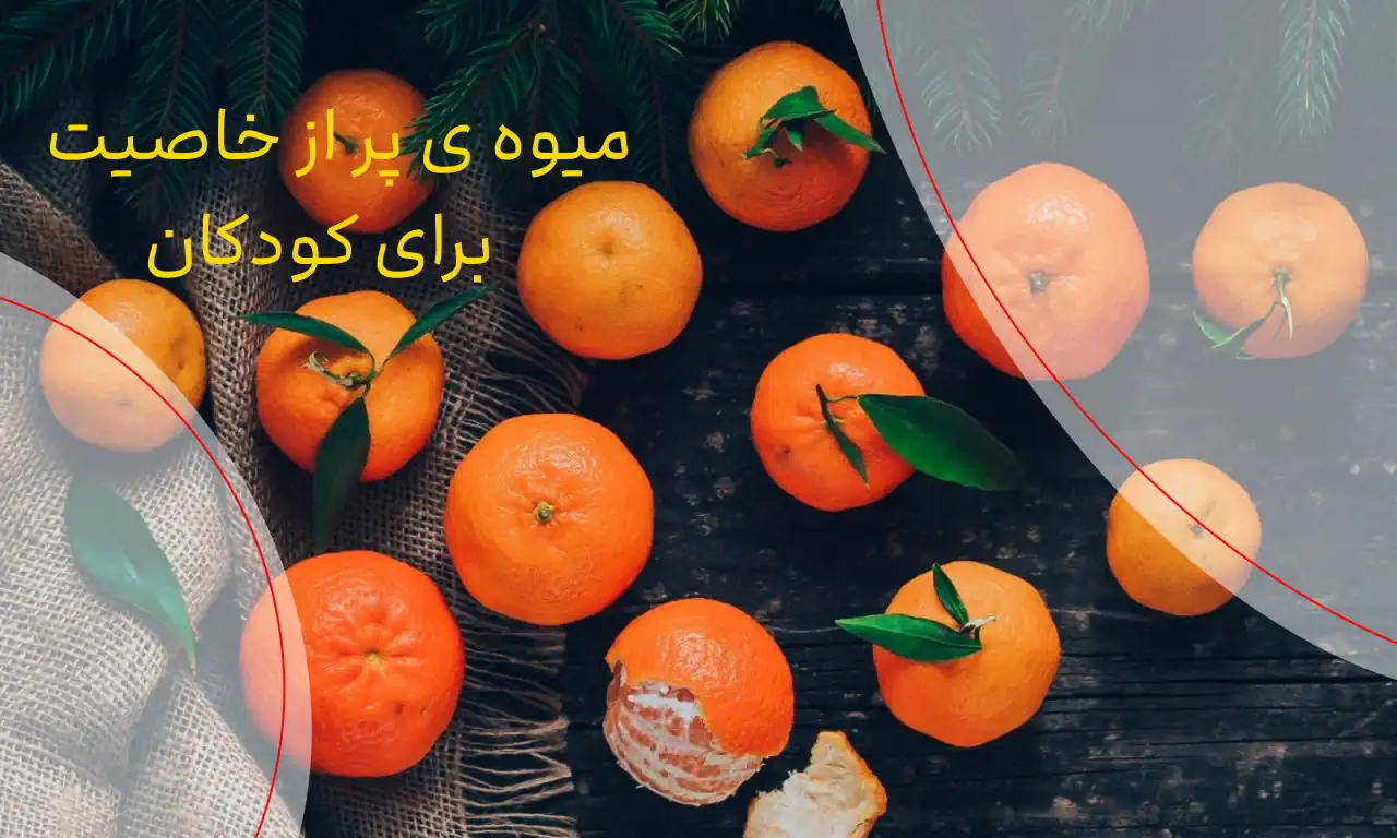 از نارنگی کوچک و خوشمزه چه می دانید؟ 12 خاصیت این میوه برای کودکان!